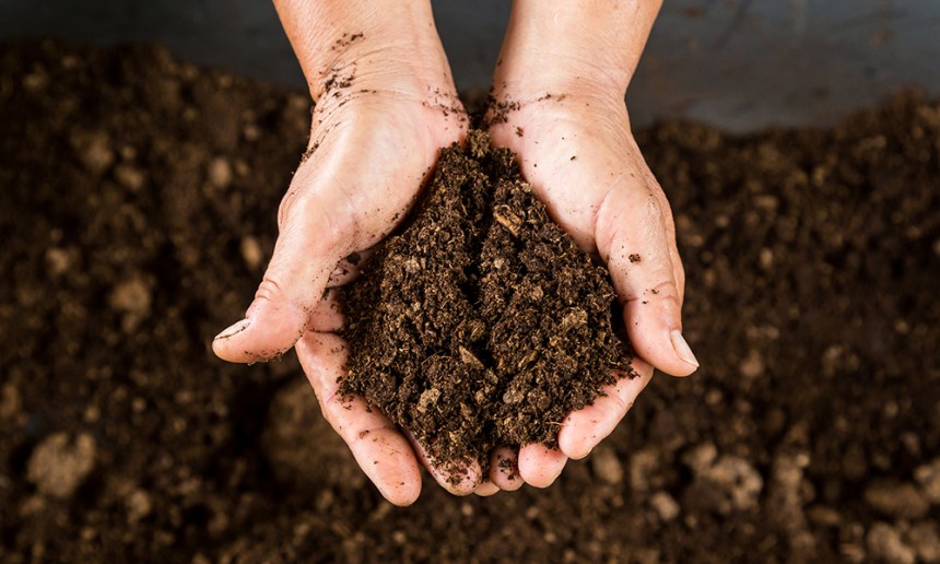 Gardening